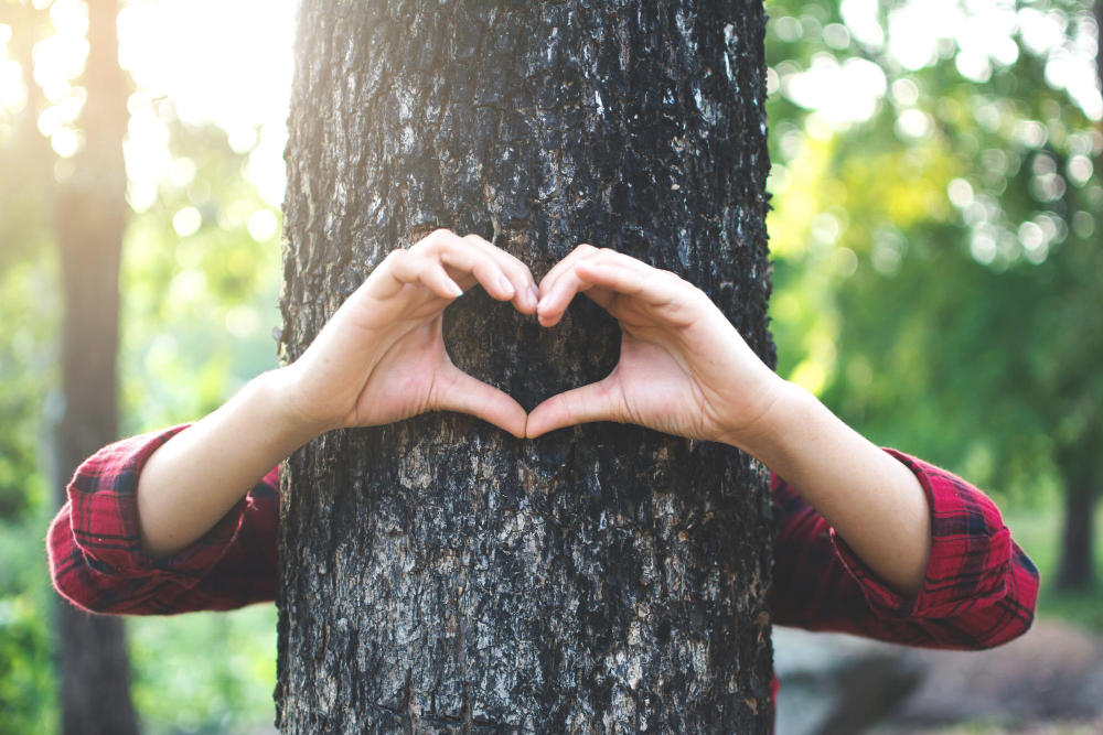 Netnámskeið um loftslag og list – Hvernig segir maður sögur um náttúruna?