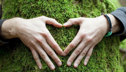 Online seminar on climate and art – How do you tell the stories about nature?