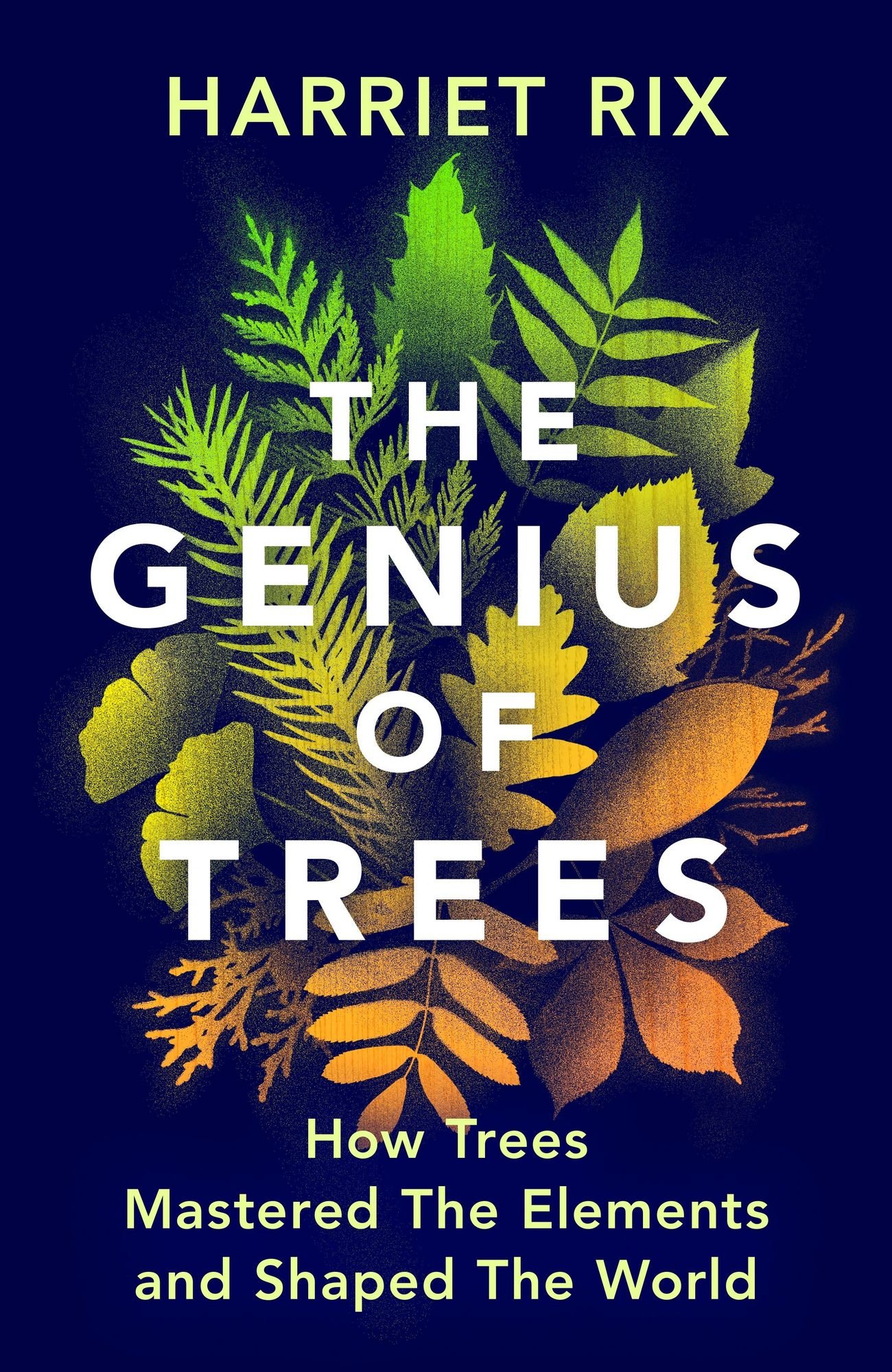 The Genius of Trees: An Online Conversation with Harriet Rix