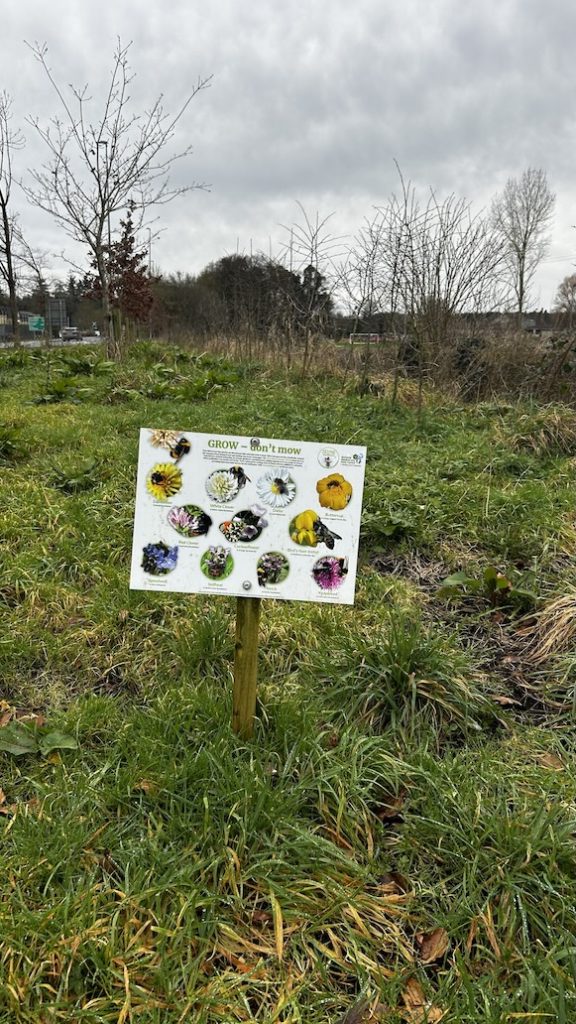Meadow in Abbeyleix with a sign reading: “Grow, Don’t Mow.”