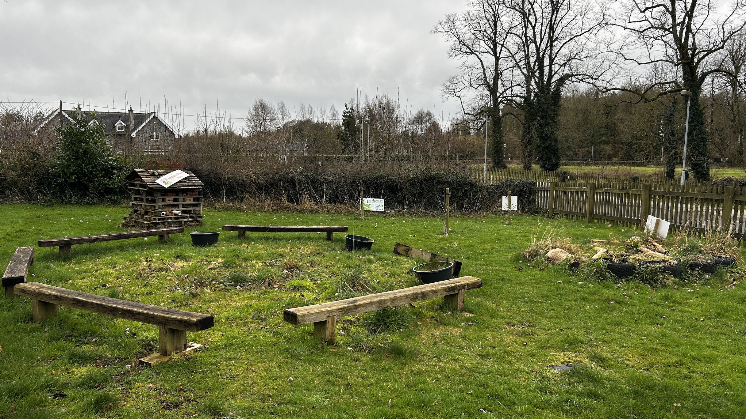 How a small Irish town protects biodiversity