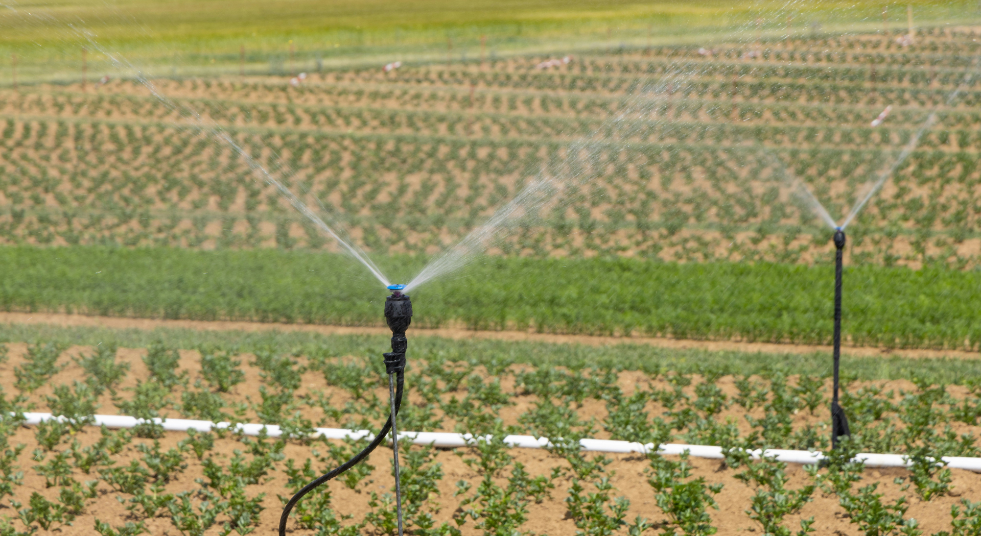 Connecting the Agricultural Beat to Local Climate Realities
